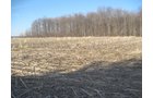 Property photo 25 - 44 Acres Offered in 3 Tracts